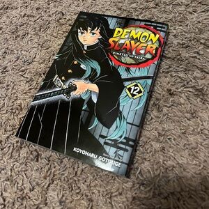 Demon Slayer vol. 12 Manga